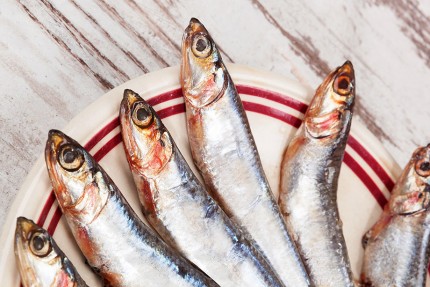 sardines_roc35
