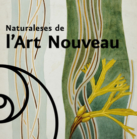 Exposició Naturaleses de l'Art Noveau
