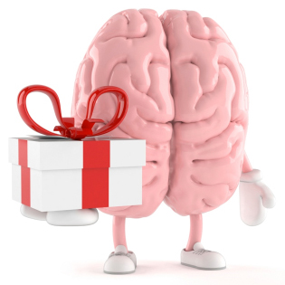 Brain